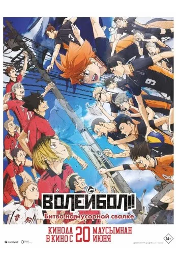 Волейбол!! Битва на мусорной свалке (2024)